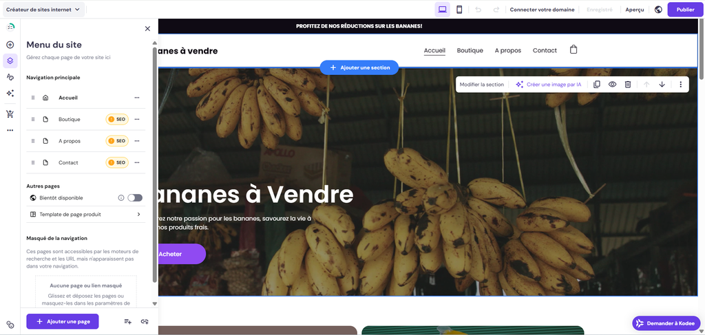 Menu Menu du site déplié