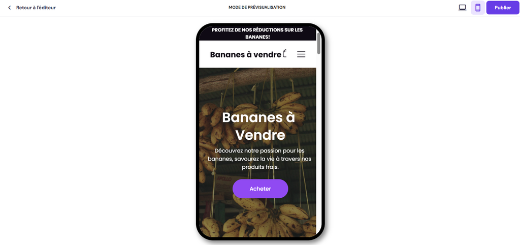 Aper&ccedil;u mobile