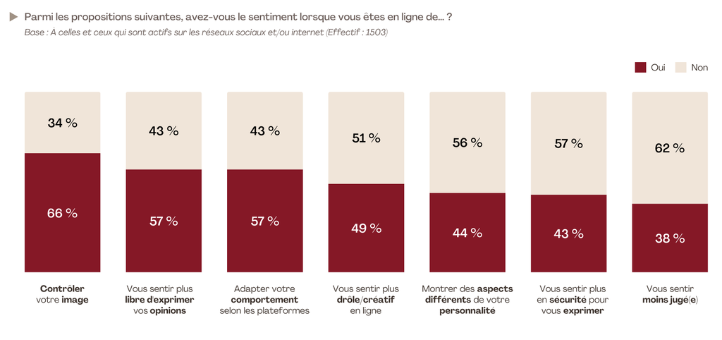 Infographie sur les sentiments ambivalents des Français en ligne