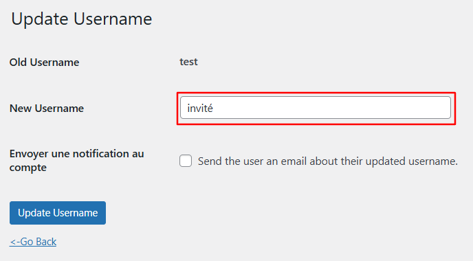 Champ de nouveau nom d'utilisateur dans le plugin Username Updater