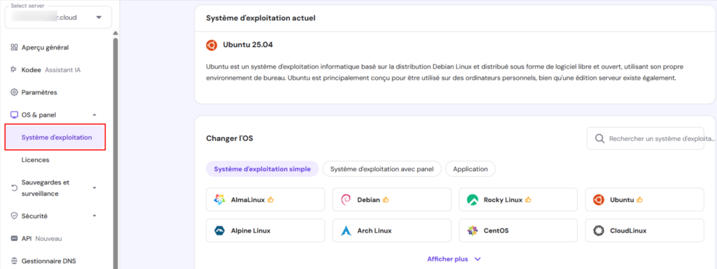 Fenêtre du système d'exploitation ouverte sur le tableau de bord du VPS