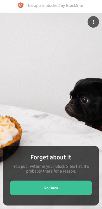 Page de blocage mobile BlockSite