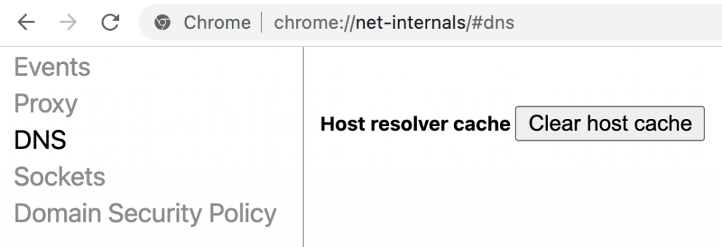 Vider le cache DNS sur Google Chrome.