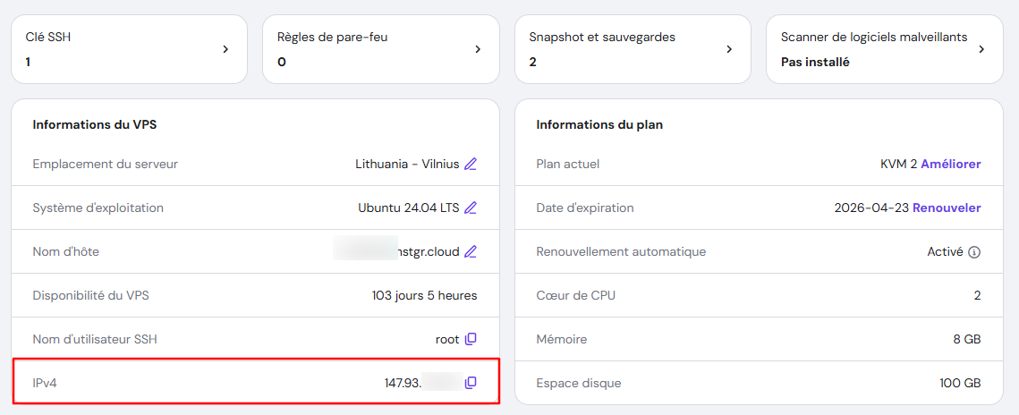 Aper&ccedil;u du VPS Hostinger hPanel avec iPv4 mis en &eacute;vidence