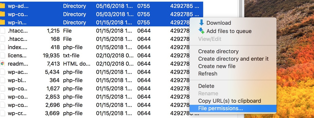 Capture d'écran du dossier racine FTP FileZilla