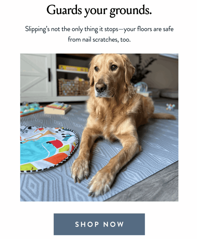 Campagne d'email marketing Porte + Hall ciblant les points de douleur des clients