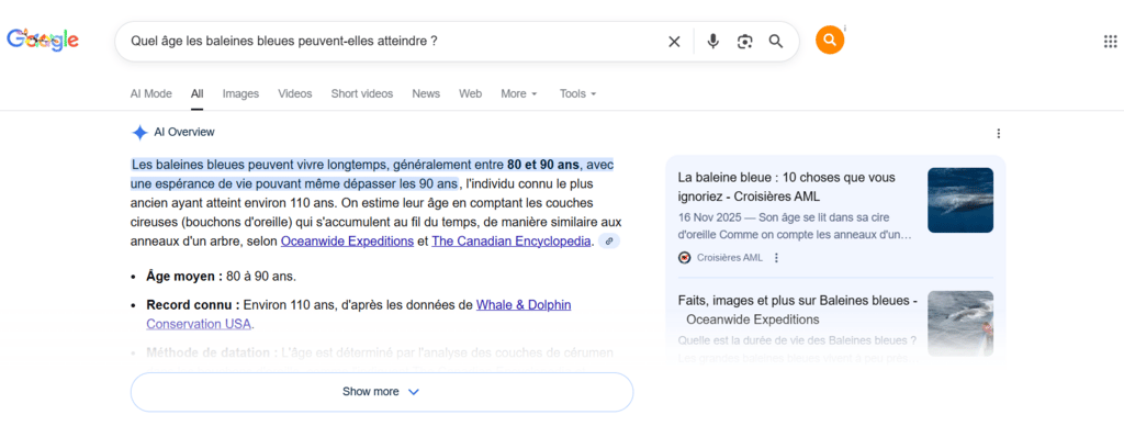 Un exemple de l'Aper&ccedil;u Google IA 