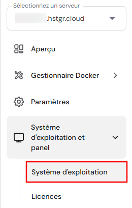 La section syst&egrave;me d'exploitation sur hPanel