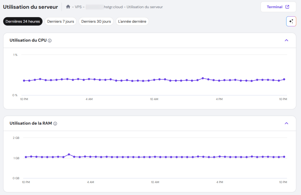 Le menu Utilisation du serveur dans le menu VPS de hPanel