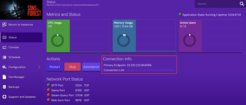 La section Info de connexion sur l'instance Sons of the Forest de Game Panel