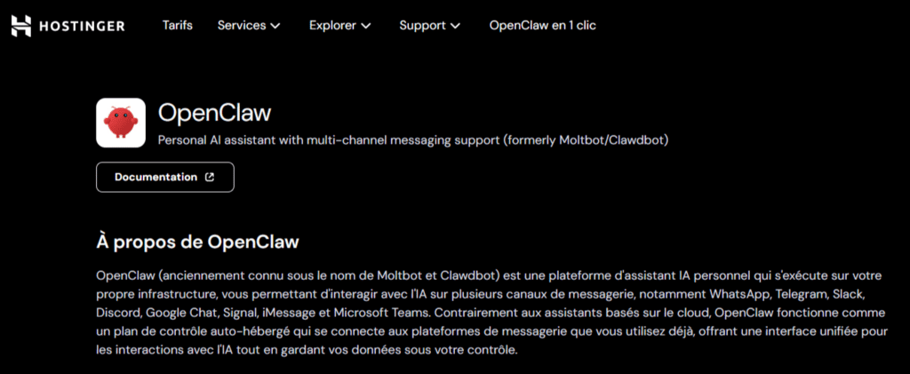 L'interface du VPS Hostinger OpenClaw