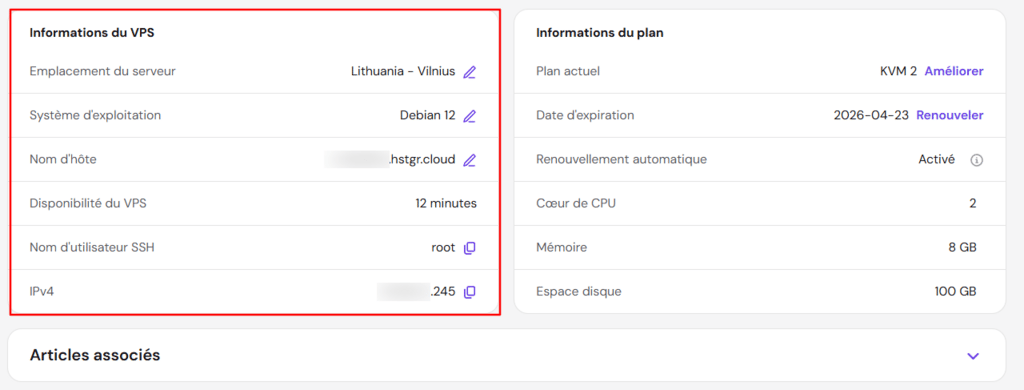 La section Informations du VPS dans la page Aperçu du VPS de hPanel