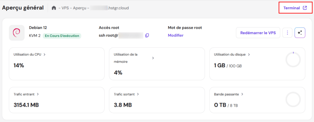 Le bouton Terminal dans la page Aperçu du VPS de hPanel