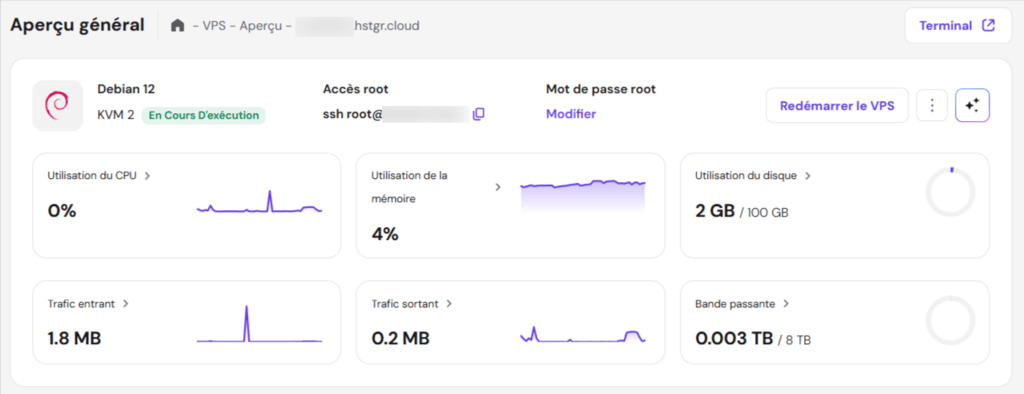 Aperçu général des ressources VPS sur hPanel