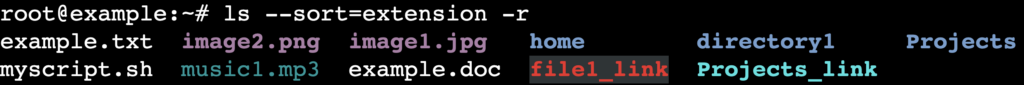 La sortie de la commande ls --sort=extension -r dans le terminal