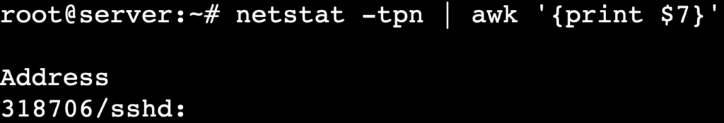 La sortie de la commande netstat -tpn | awk '{print }' affiche les PID et les noms de programmes.