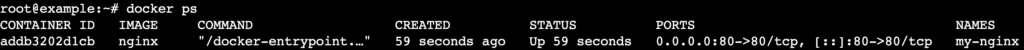 Résultat de la commande docker ps dans le terminal affichant le conteneur NGINX en cours d’exécution