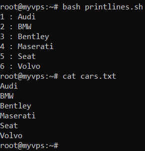 Fenêtre de terminal affichant un script Bash qui affiche le contenu d'un fichier avec les numéros de ligne.