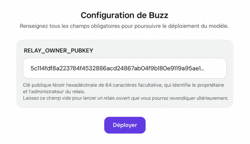 hpanel-buzz-configuration-relay-owner-pubkey Page de configuration de Buzz chez Hostinger affichant le champ de la clé publique du propriétaire du relais et le bouton Déployer