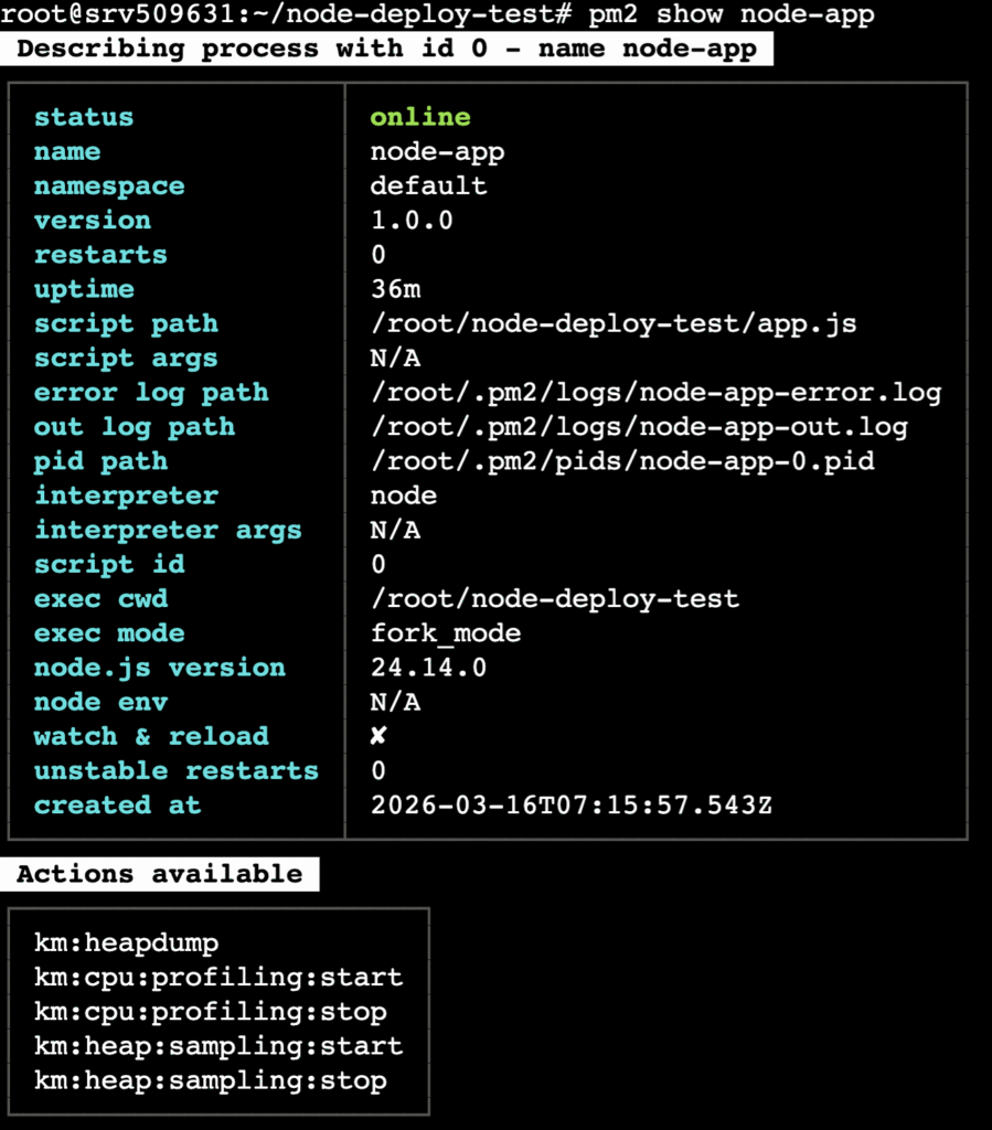 terminal-pm2-show-node-app Les informations affichées par la commande pm2 show node-app dans le terminal