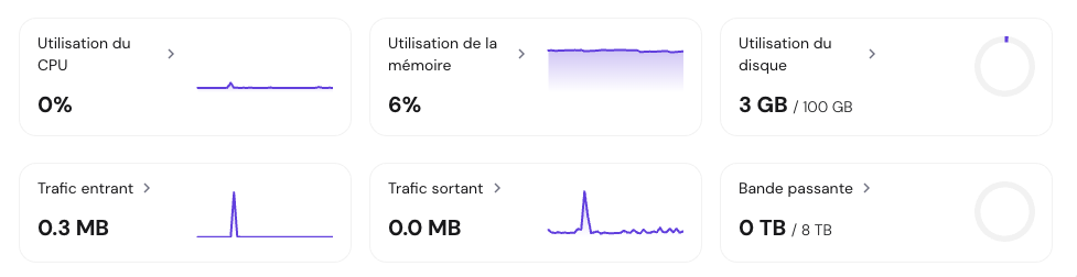 Vue d'ensemble du VPS dans hPanel de Hostinger, avec les graphiques d'utilisation des ressources.