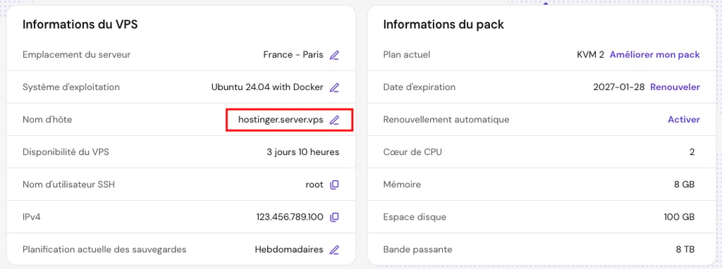 Nom d’hôte du VPS affiché dans la section Aperçu de hPanel