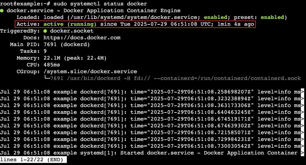 يُظهر ناتج Terminal أن خدمة Docker نشطة وتعمل حاليًا