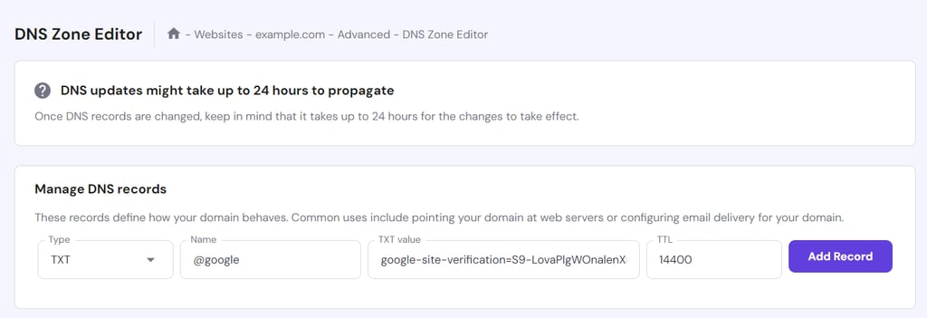 The DNS Zone Editor feature in hPanel
