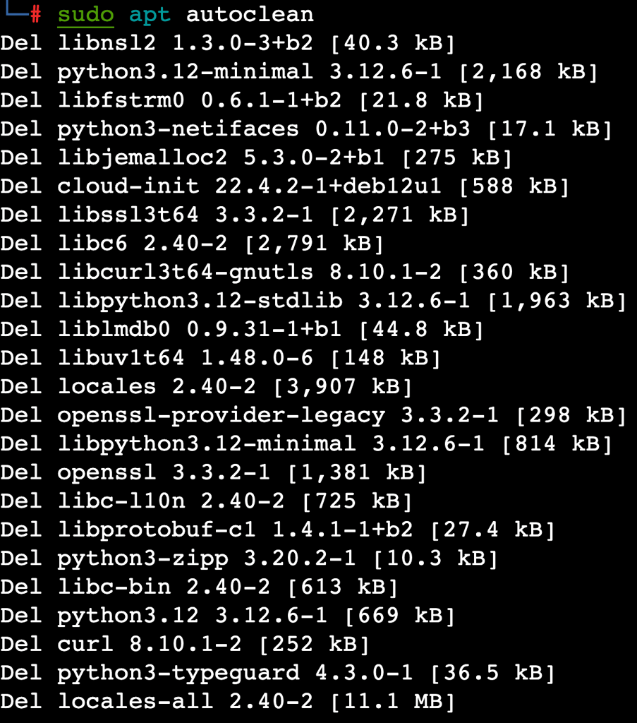 The sudo apt autoclean command's output in the terminal