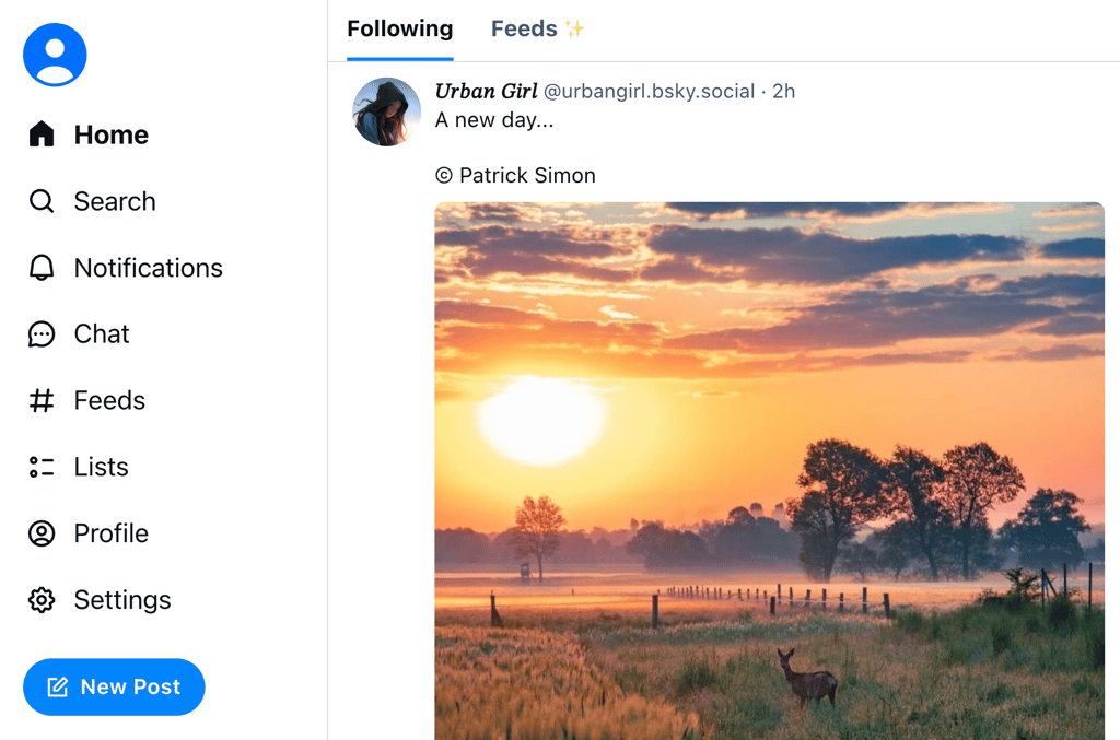 Bluesky's homepage