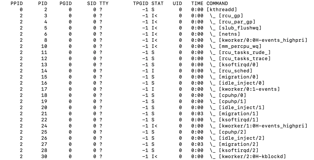 The ps -axjf command's output in the terminal