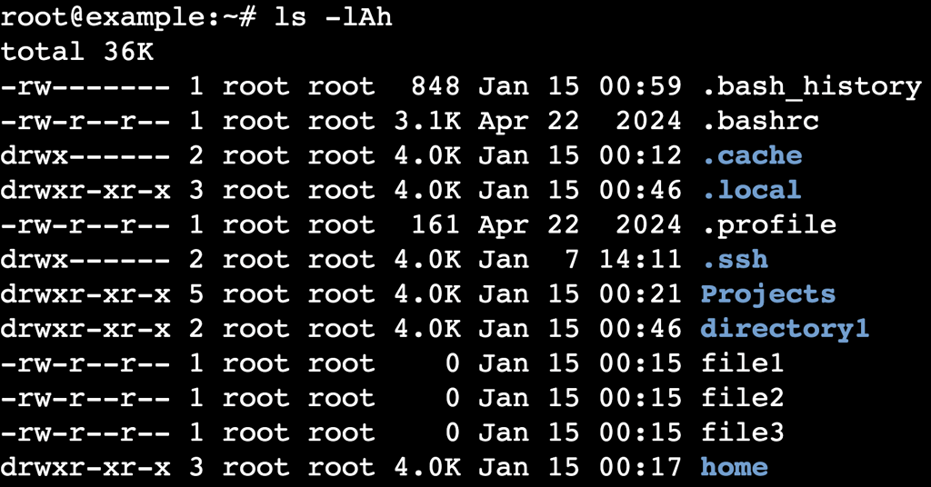 The ls -lAh command's output in the terminal
