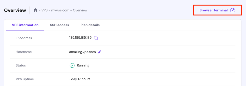 Browser terminal button on the VPS management page