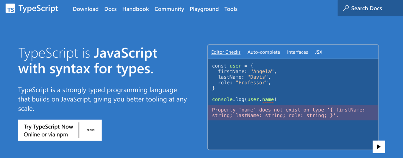 TypeScript's homepage