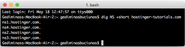 buscando o nameserver usando o comando dip para apontar dom&iacute;nio para vps