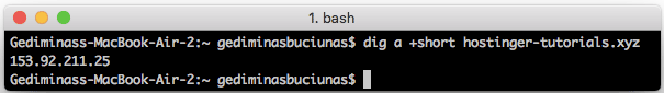 buscando um apontamento de dom&iacute;nio tipo A usando um comando dig para apontar dom&iacute;nio para vps