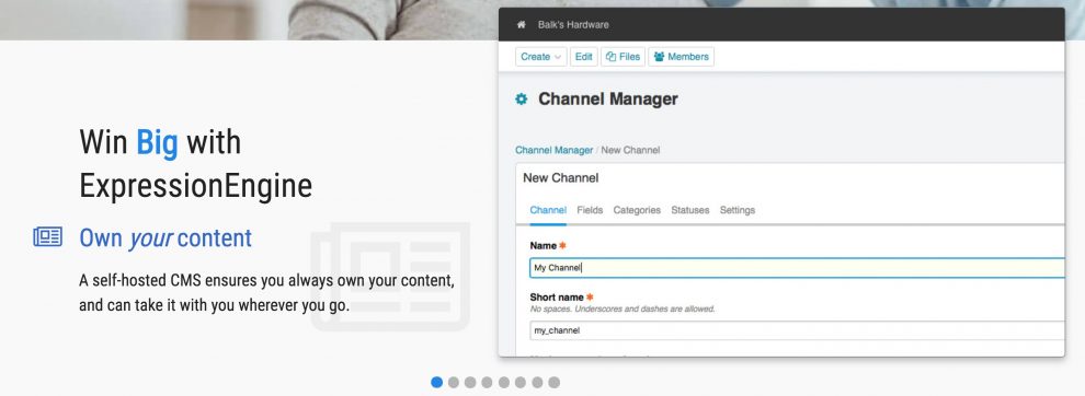 CMS Expression Engine para usar al&eacute;m do WordPress