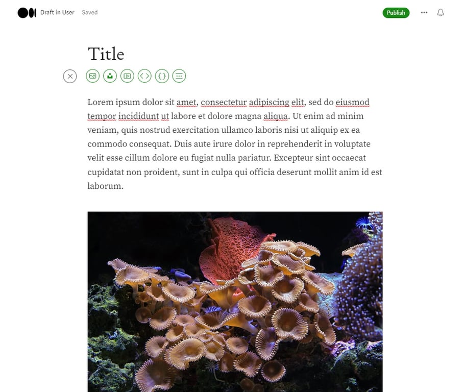 exemplo de editor de artigo no medium