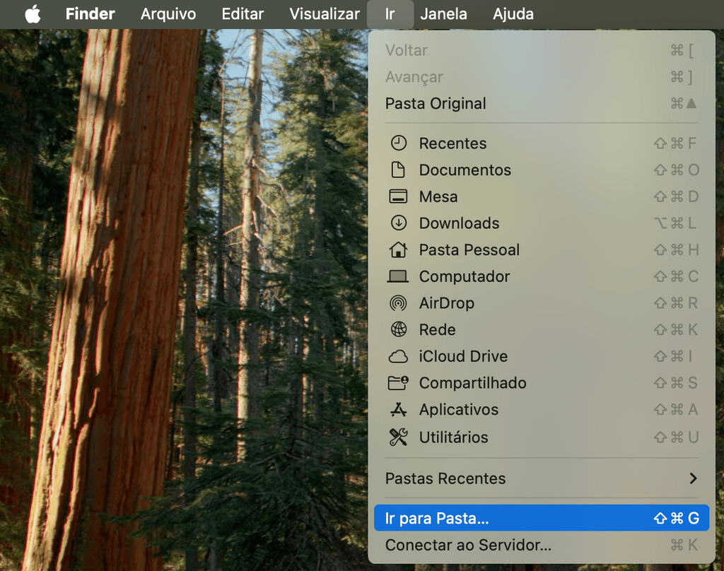 botão "ir para pasta" no menu "ir" do finder no macOS