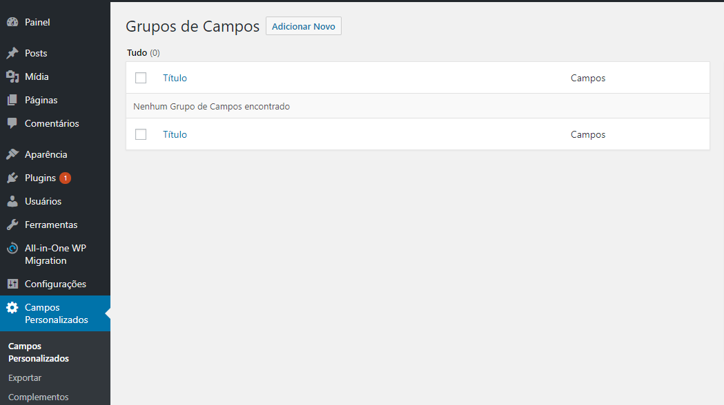 op&ccedil;&atilde;o de campos personalizados no WordPress