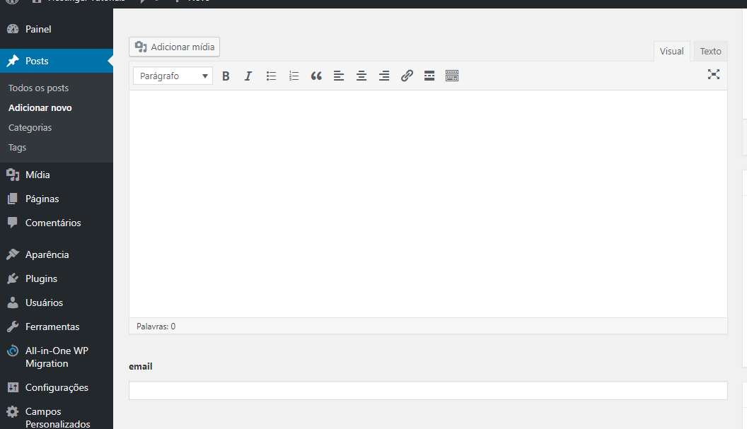 verificando se o campo personalizado WordPress criado est&aacute; funcionando no site