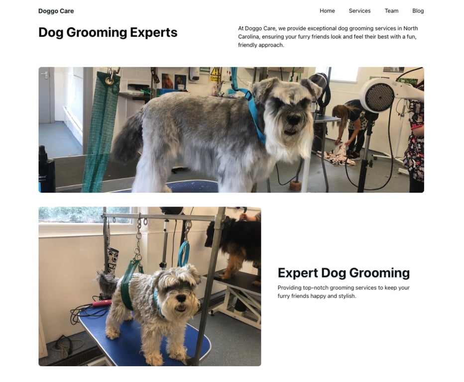 exemplo de site wordpress criado com ia pela hostinger