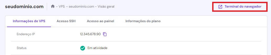acessar o terminal via navegador do hpanel