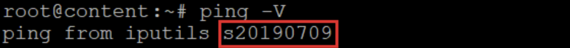 terminal exibindo a vers&atilde;o do ping instalada