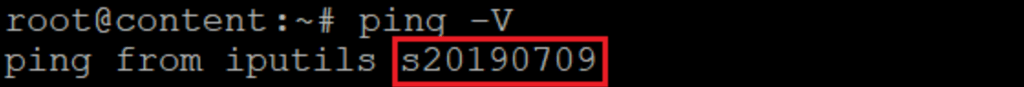 terminal exibindo a versão do ping instalada