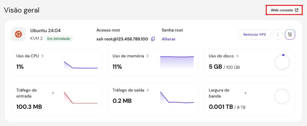 Bot&atilde;o do web console/terminal do navegador na vis&atilde;o geral do VPS no hPanel