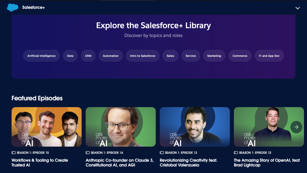 captura de tela do site salesforce+