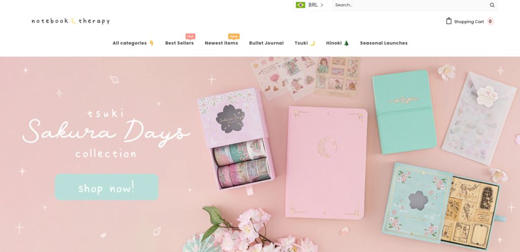 p&aacute;gina inicial do site de dropshipping notebook therapy