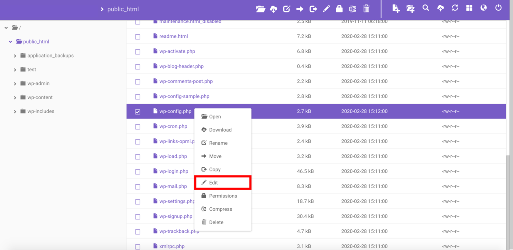 editando o arquivo wp-config.php