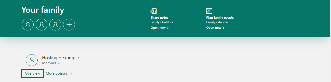 vis&atilde;o genta de contas da microsoft